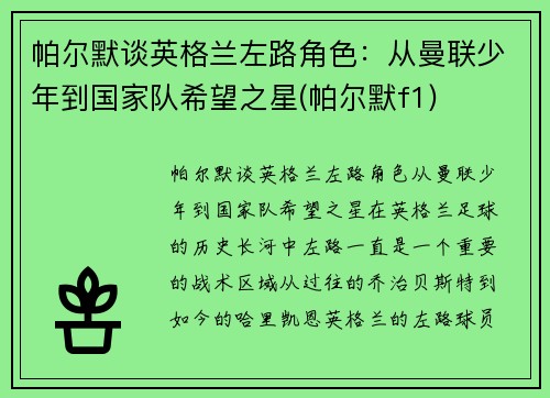 帕尔默谈英格兰左路角色：从曼联少年到国家队希望之星(帕尔默f1)