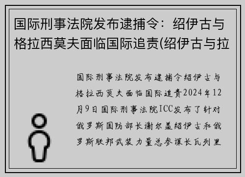 国际刑事法院发布逮捕令：绍伊古与格拉西莫夫面临国际追责(绍伊古与拉夫罗夫关系好)