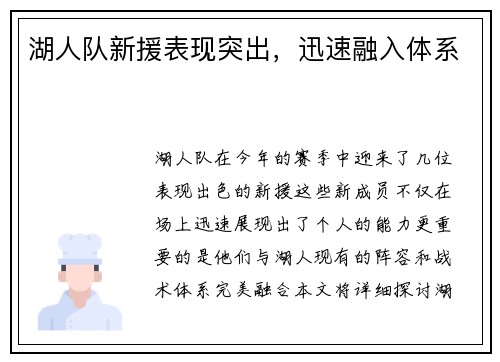 湖人队新援表现突出，迅速融入体系