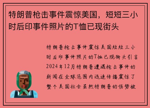 特朗普枪击事件震惊美国，短短三小时后印事件照片的T恤已现街头